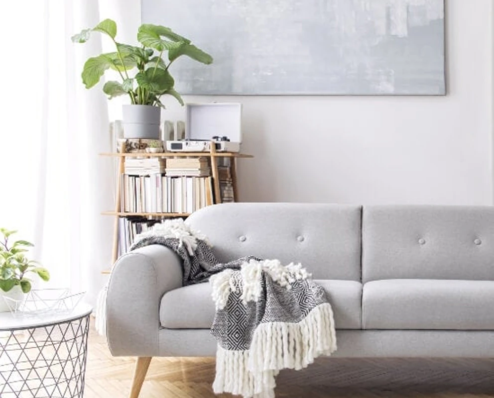 meticulous house cleaning services on long island
