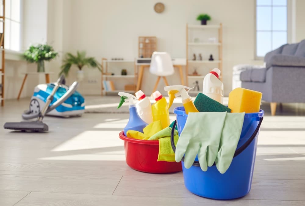 How do professional house cleaning services provide more than just a clean home