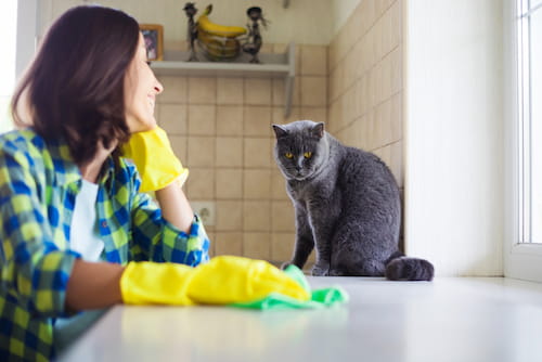 How to keep a clean house with kids and pets