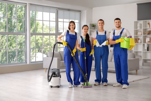 What are the duties of a professional cleaner