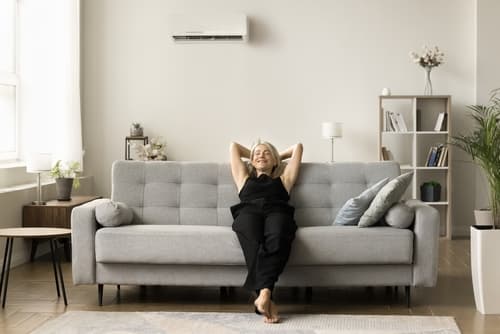 bethpage house cleaning