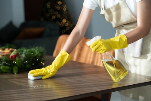 cleaning services east northport ny