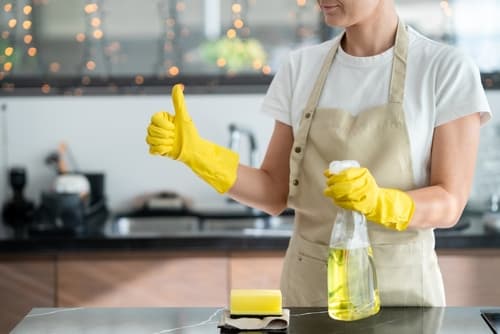 east northport ny cleaning services