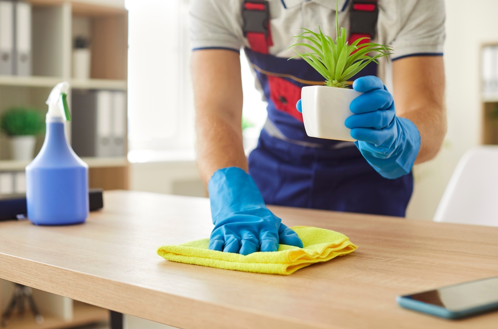 dependable house cleaning in Kings Park, NY