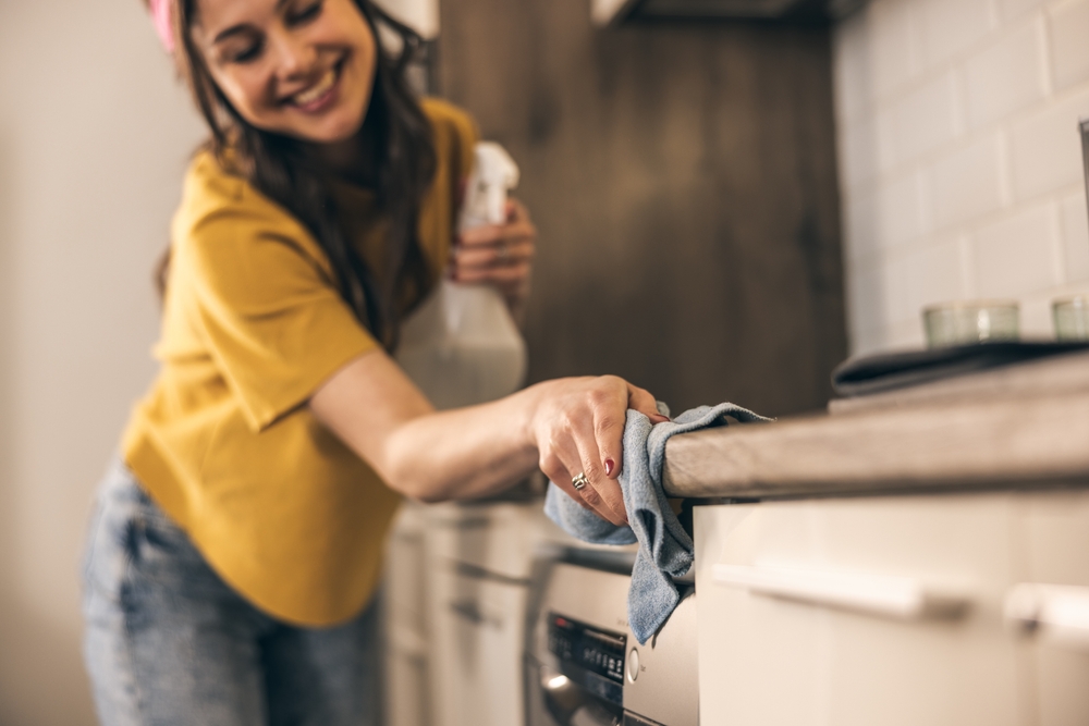 professional cleaning services in Kings Park, NY