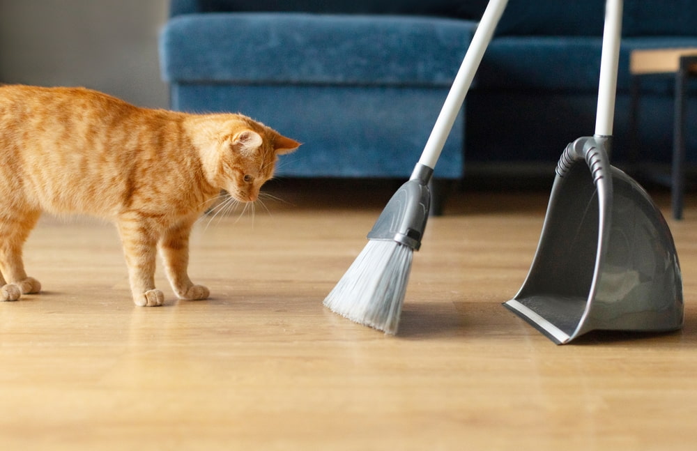 What makes it easier to manage fur and tracked-in debris all summer