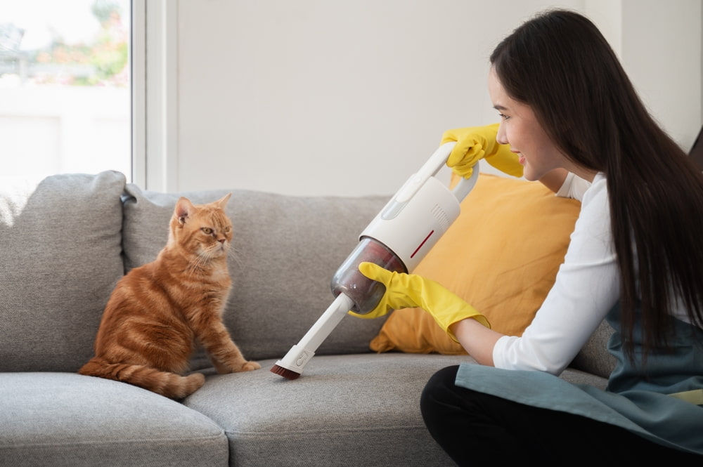 Who provides pet-friendly house cleaning in Levittown, NY