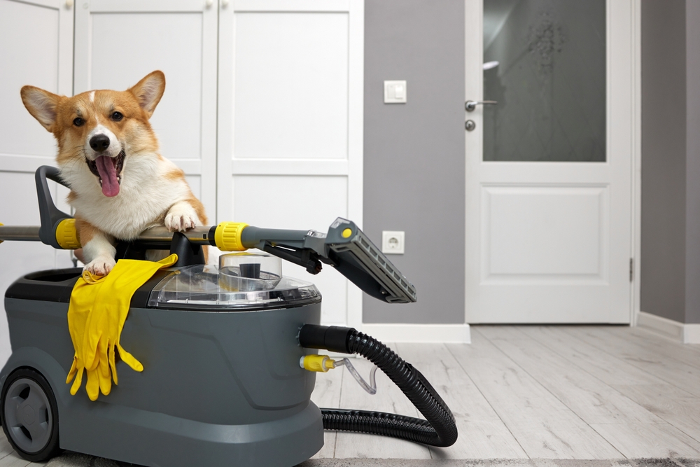 professional house cleaning near me in Hicksville, NY
